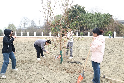 成绵管理处开展“青年植树添新绿 团日活动践初心”植树节主题活动 (2).JPG