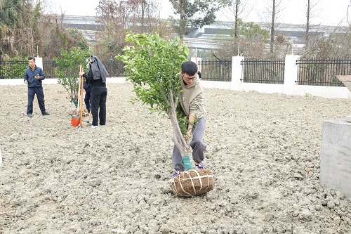 成绵管理处开展“青年植树添新绿 团日活动践初心”植树节主题活动 (1).jpg